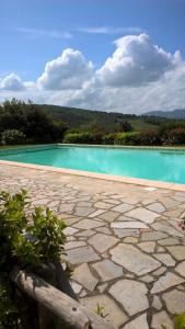 una piscina de agua azul y un patio de piedra en La Casa del Tatone, en Gambassi Terme
