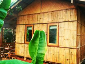 Zahrada ubytování Pencave Homestay