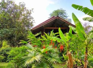Zahrada ubytování Pencave Homestay