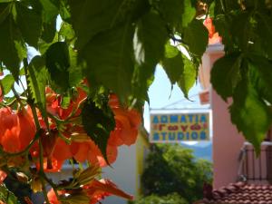 um ramo de flores de laranja pendurado numa árvore em Gogo's - Γωγώ Rooms & Studios em Nydri