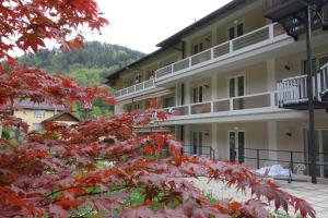 a building with red leaves in front of it at Hotel Pian Nava in Premeno
