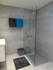 um chuveiro com uma porta de vidro na casa de banho em Aan de vestingrand em Ypres