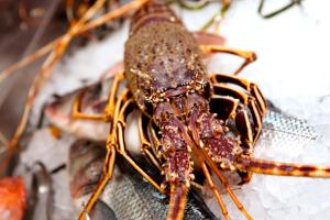 a close up of a lobster on a plate at I Bastioni San Domenico - Boutique Hotel in Gallipoli
