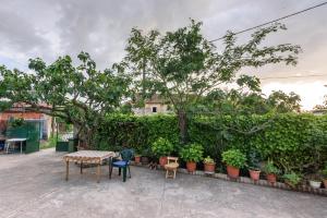 Zahrada ubytování Apartman Lastavica