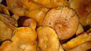 a pile of food sitting on a table at Silna Nowa 2 in Pszczew