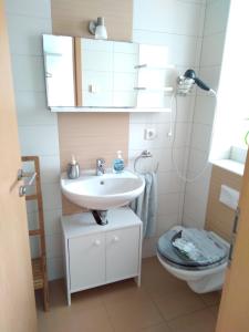 La salle de bains est pourvue d'un lavabo et de toilettes. dans l'établissement Ferienwohnung Andreas, à Herbolzheim