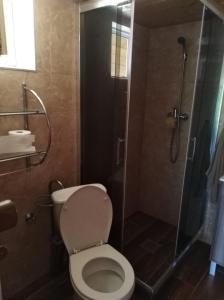 a bathroom with a toilet and a shower at Ubytovanie Lesky in Mlynky 