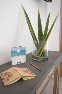 a table with a box and a plant on it at The Wave in Sidari