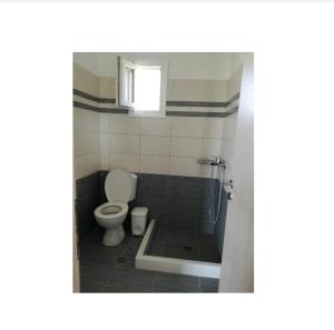 a bathroom with a toilet and a shower at Sunny Studios Naxos in Aliko Beach