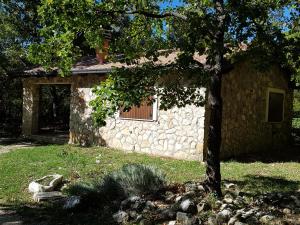 a stone house with a tree in front of it at Il Rifugio dei Briganti in Caramanico Terme