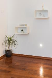 a room with a potted plant on a white wall at Fairy Of The Seas Apartments in Split