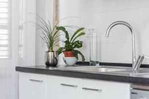 a kitchen counter with a sink and two plants at Fairy Of The Seas Apartments in Split