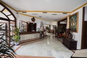 un hall d'un magasin avec des plantes et un comptoir dans l'établissement Hotel Pozo del Duque, à Zahara de los Atunes