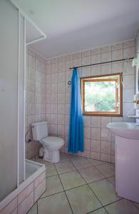 a bathroom with a toilet and a blue shower curtain at Domek całoroczny MARKO in Węgorzewo