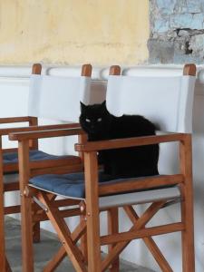 un gato negro sentado en una mecedora en Giunasco, en Bagnone