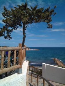a tree on the beach next to the ocean at Apartamento LAVANDA , Costamarina, Cabo Roig in Orihuela Costa
