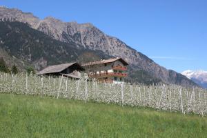a vineyard in the mountains with a building in the background at Mareinhof - Urlaub auf dem Apfelbauernhof in Parcines