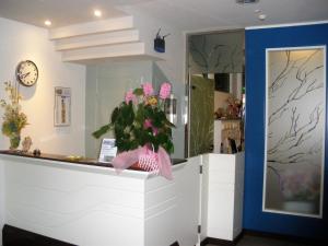 Vstupní hala nebo recepce v ubytování Hotel Amedeo