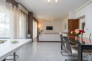 TV a/nebo společenská místnost v ubytování Apartman Verica