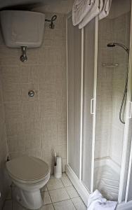 a bathroom with a toilet and a shower at Podere il Vecchio Mulino in San Gimignano