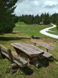 una mesa de picnic de madera en un campo junto a una carretera en Pokljuka Triglav national park en Zgornje Gorje