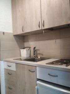 a small kitchen with a sink and a stove at Pokljuka Triglav national park in Zgornje Gorje