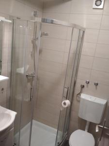 y baño con ducha, aseo y lavamanos. en Pokljuka Triglav national park en Zgornje Gorje