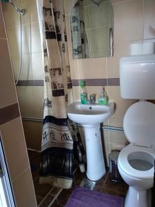 ein Badezimmer mit Toilette und Waschbecken in der Unterkunft Durmitor in Kumanovo