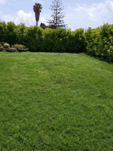 Gallery image of A Due Passi Dal Mare in Petrosino