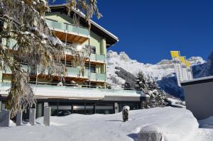 Hotel Hahnenblick en invierno