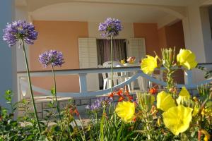 Zahrada ubytování Apartments Danijela + 65 fotografií