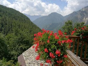 Nespecifikovaný výhled na hory nebo výhled na hory při pohledu z bed and breakfast