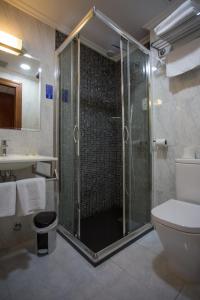 a bathroom with a shower with a toilet and a sink at Hotel Yerri in Estella