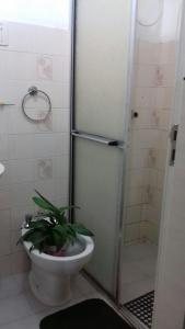 a bathroom with a toilet and a shower with a plant at Apartamento kitchenette in São Lourenço do Sul