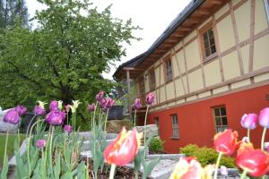 um monte de tulipas em frente a um edifício em Ferienwohnung Brox em Sebnitz