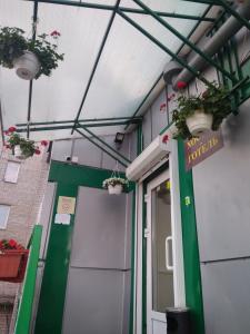 Art Galery Hostel في إلفيف: باب امامي لمبنى به نباتات الفخار