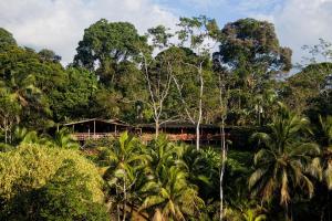 Gallery image of La Laguna del Lagarto Eco-Lodge in Pital