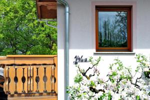 Zahrada ubytování Apartma Marjetica II.