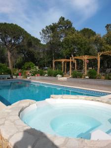 ein großer Pool in einem Hof mit einer Pergola in der Unterkunft Chambres d'Hôtes Les Mayombes in Roquebrune-sur-Argens