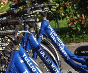 two blue bikes are parked next to each other at Tullio Hotel in Gravedona