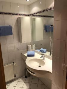 ein Bad mit einem Waschbecken und einem Spiegel in der Unterkunft Ferienwohnung Hofer in Schwangau