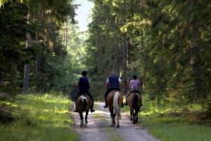 Cabalgata en el parque de vacaciones o alrededores