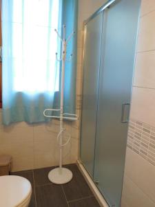 a bathroom with a shower stall and a toilet at S'incantu in Olbia