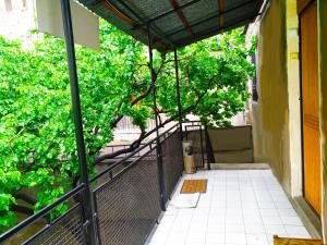 an outside view of a balcony with a tree at Hostel Sakharov & Tours in Yerevan