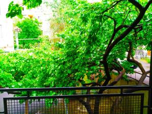 a tree with green leaves next to a fence at Hostel Sakharov & Tours in Yerevan