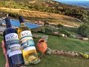 a person holding two bottles of wine in a yard at Quinta Vale da Roca in Sintra