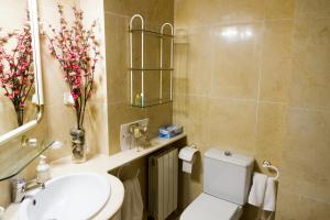 a bathroom with a white toilet and a sink at Apartamento Garcilaso de la Vega in Cuenca +5 photos