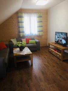a living room with a couch and a tv at Ferienwohnung Steirerbusserl in Kirchdorf