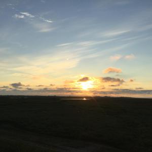 un coucher de soleil dans un champ avec le soleil dans le ciel dans l'établissement koksijde aan zee, à Coxyde