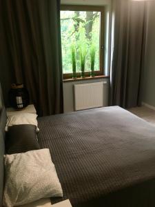 Posteľ alebo postele v izbe v ubytovaní Apartament SONIA